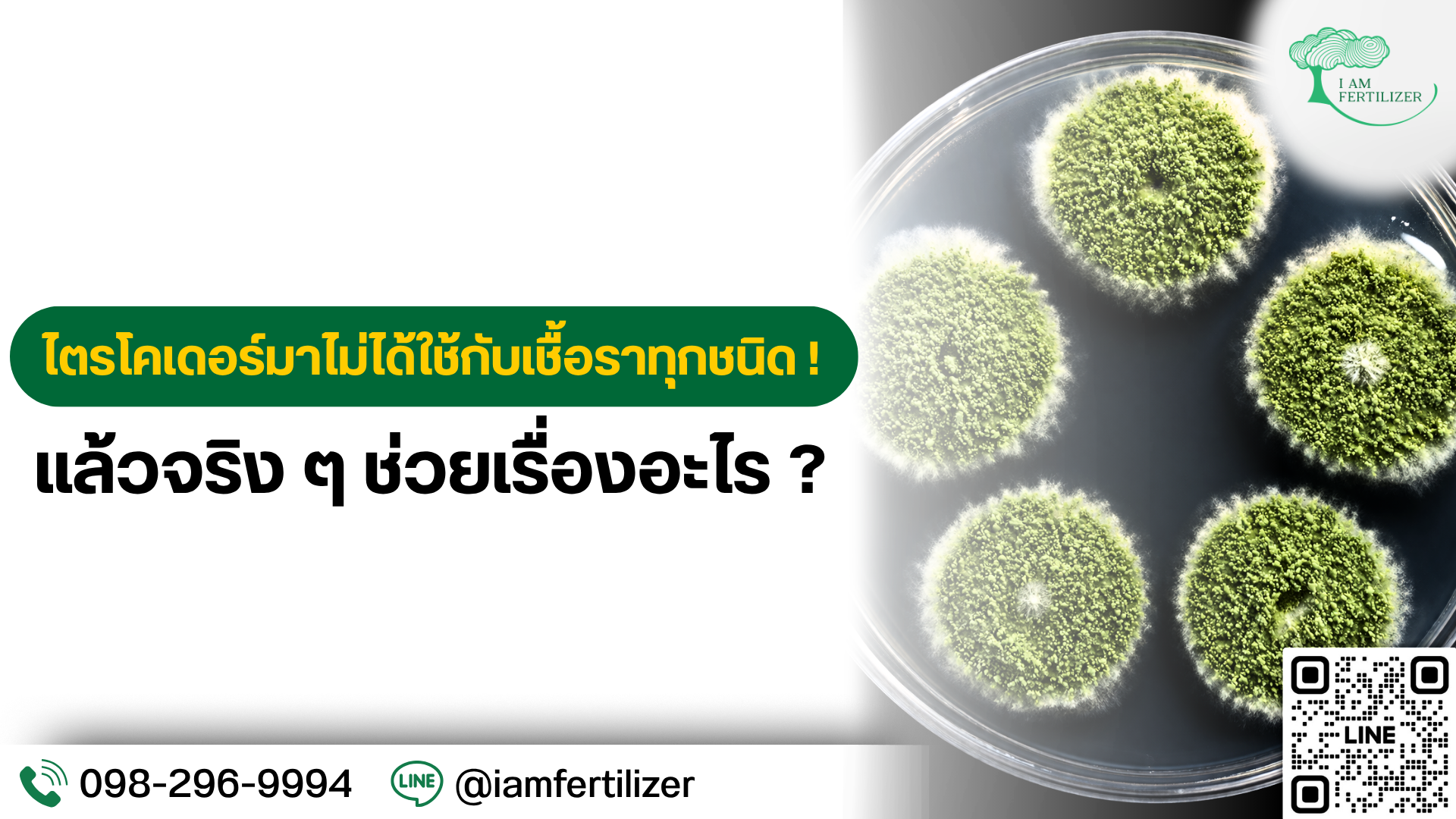 ไตรโคเดอร์มาไม่ได้ใช้กับเชื้อราทุกชนิด !  แล้วจริง ๆ ช่วยเรื่องอะไร ?