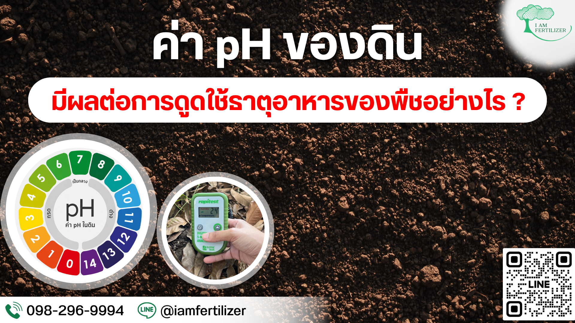 ค่า pH ของดิน มีผลต่อการดูดใช้ธาตุอาหารของพืชอย่างไร?
