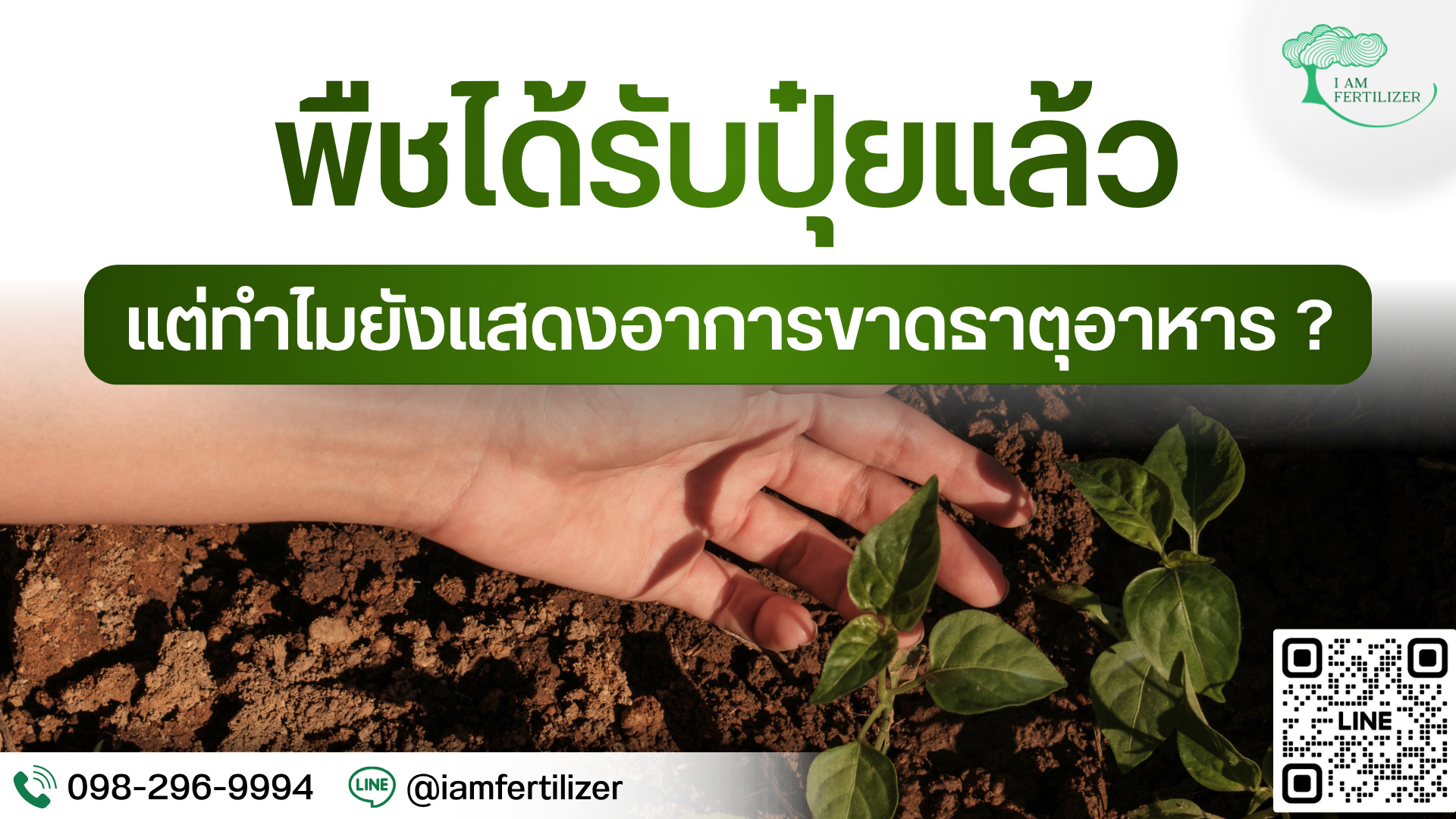พืชได้รับปุ๋ยแล้ว แต่ทำไมยังแสดงอาการขาดธาตุอาหาร ?
