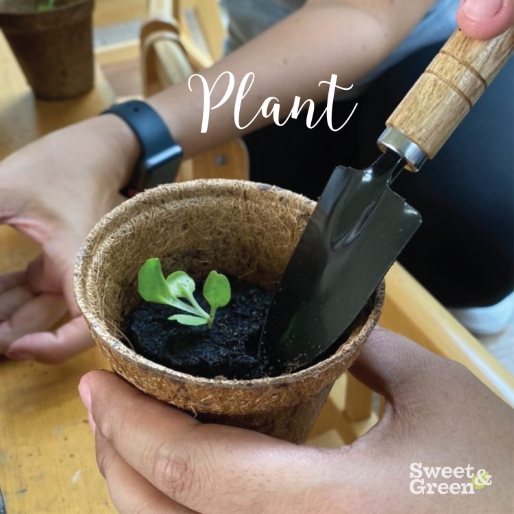 planting workshop