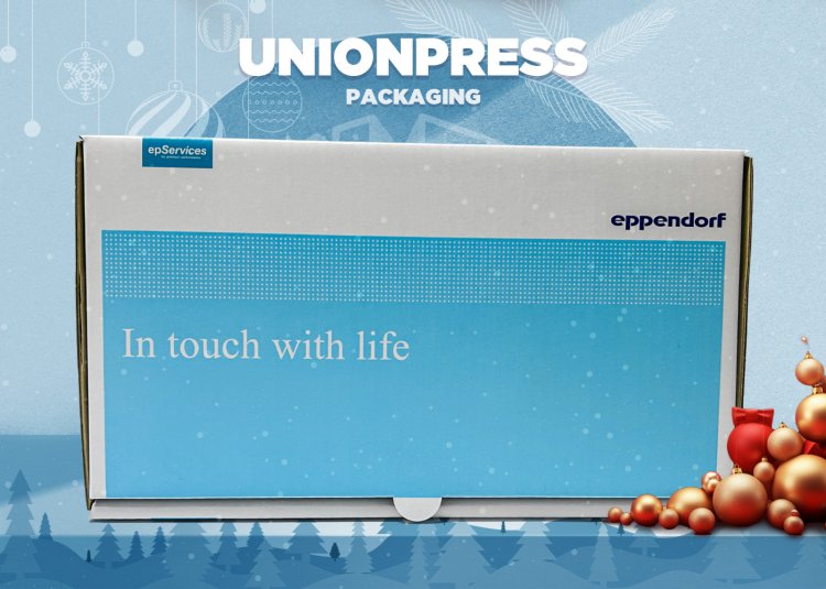 กล่องไดคัทหูช้าง