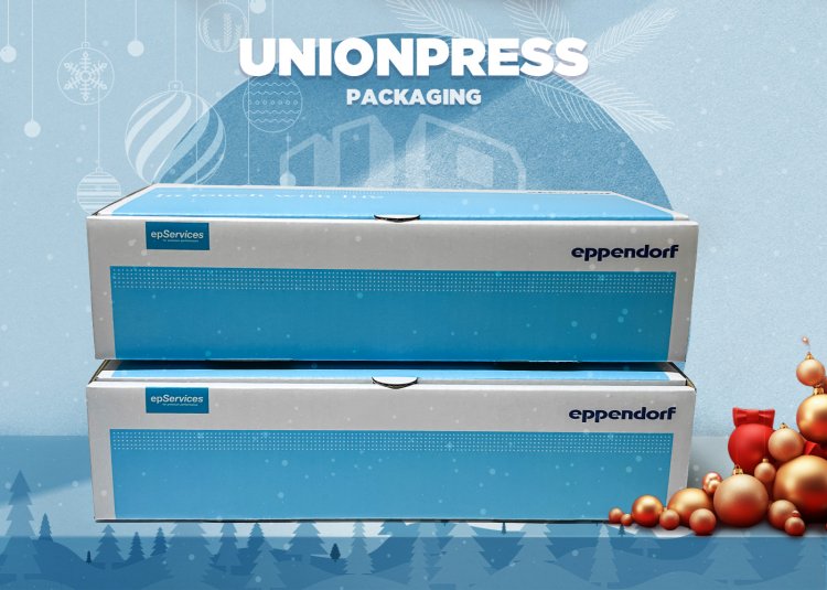 กล่องไดคัทหูช้าง