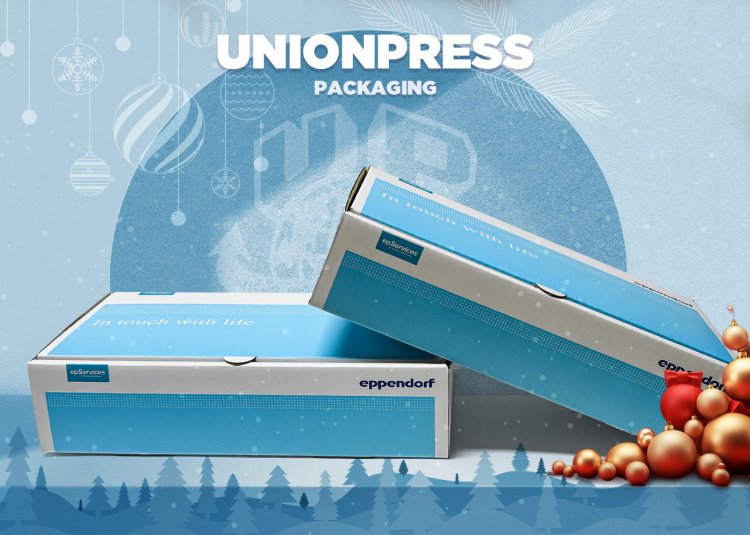 กล่องไดคัทหูช้าง