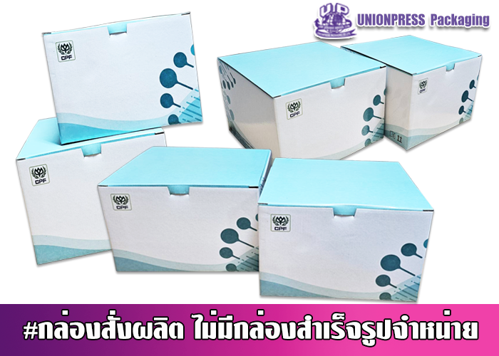 กล่องไดคัทฝาล็อคอ