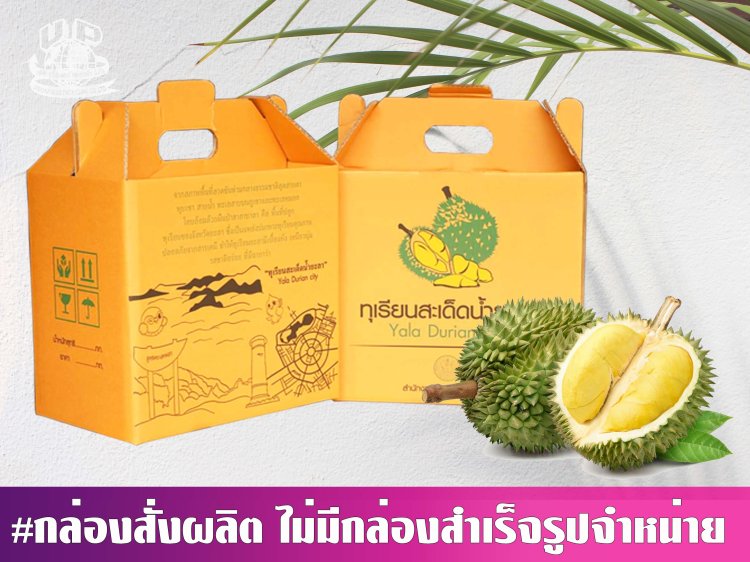 กล่องทุเรียนหูหิ้ว 2 ลูก