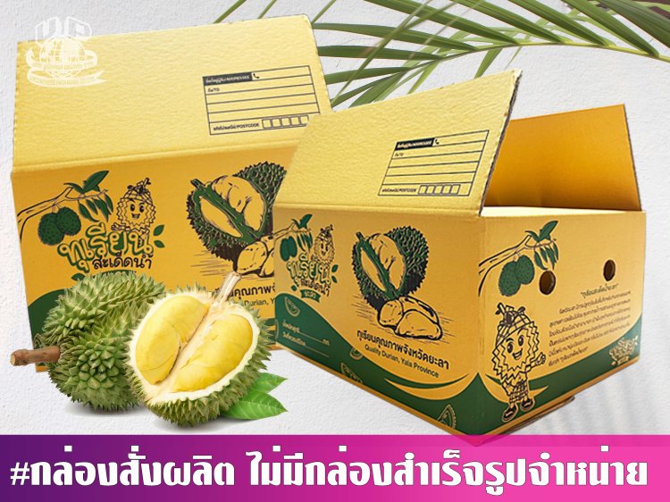กล่องทุเรียน 10 กก.