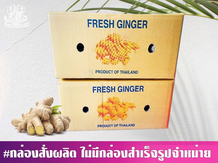 กล่องขิงสด 18 กก.