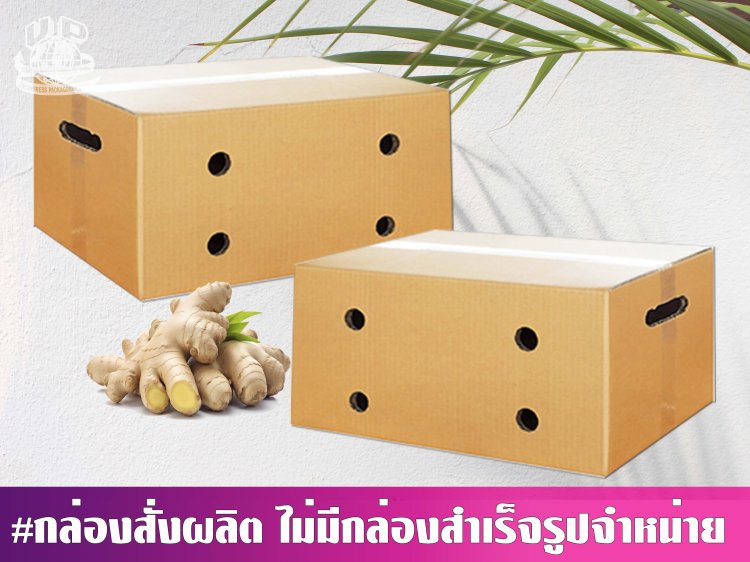 กล่องขิงสด 10 กก.