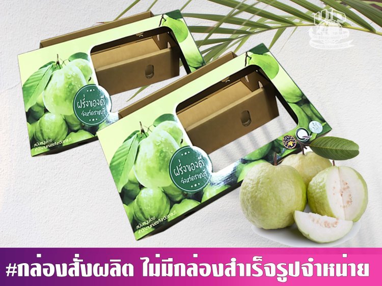 กล่องฝรั่งฝาครอบ 1 กก.