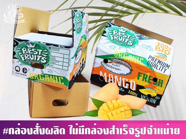 กล่องมะม่วง 10 กก.