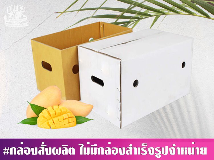 กล่องมะม่วง 10 กก. ไม่พิมพ์