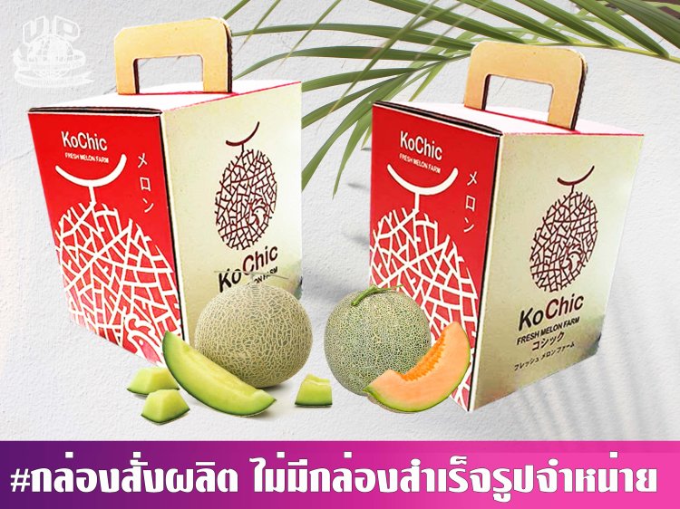 กล่องเมล่อน 1 ลูก