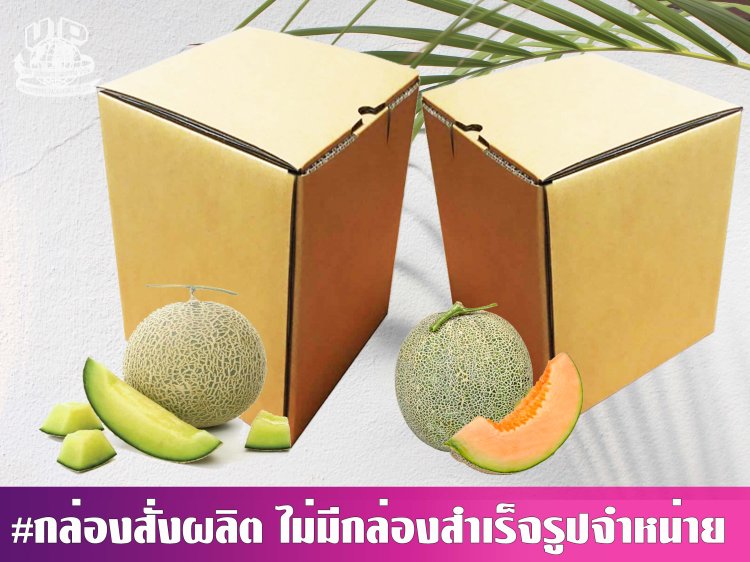 กล่องเมล่อน 1 ลูก ไม่พิมพ์