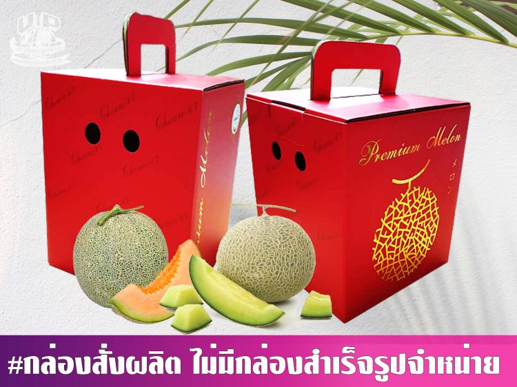 กล่องเมล่อน 1 ลูก (ออฟเซ็ท)