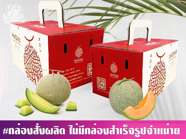 กล่องเมล่อน 2 ลูก