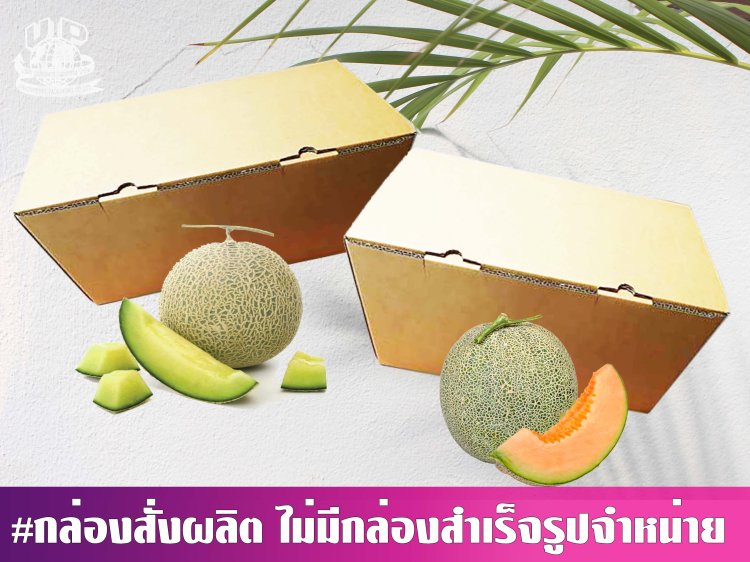 กล่องเมล่อน 2 ลูก ไม่พิมพ์