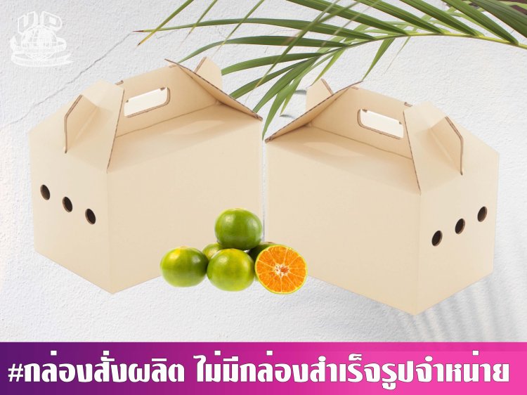 กล่องส้ม 2 กก.