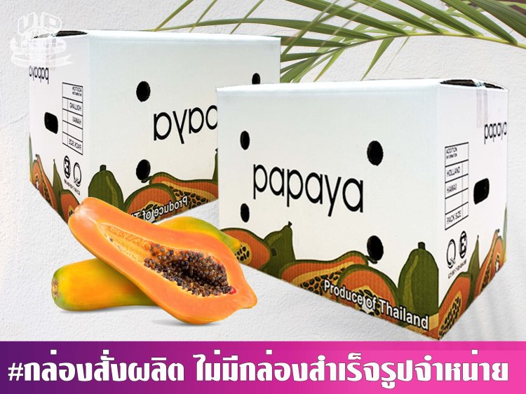 กล่องมะละกอ 8 กก.