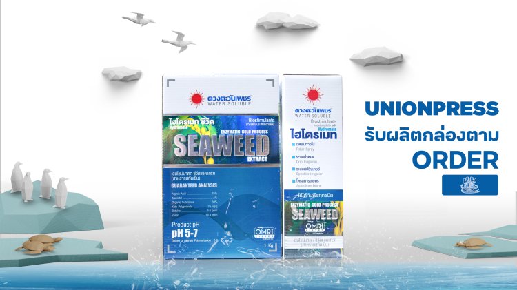 กล่องออฟเซ็ทประกบลอน