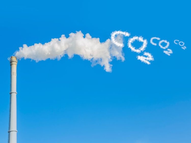 การทวนสอบ