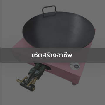 เซ็ตสร้างอาชีพ