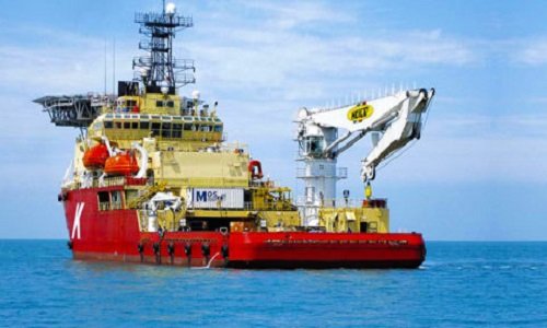 Heila Heila Cranes