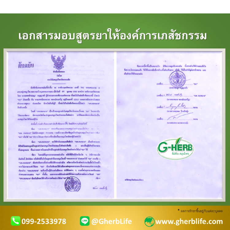 มอบสูตรยา จีเฮิร์บ