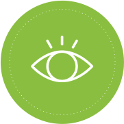 บำรุงสายตา