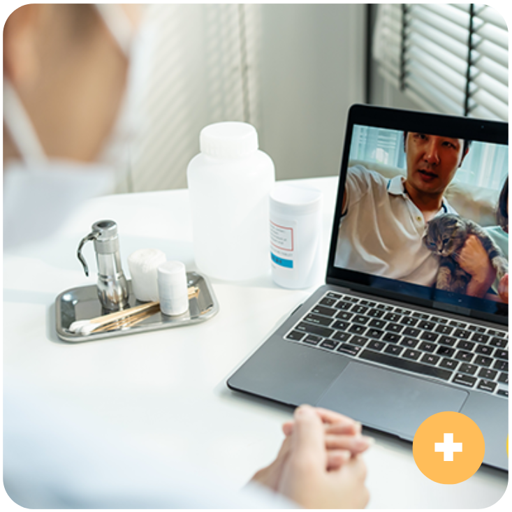 Consult an online veterinarian