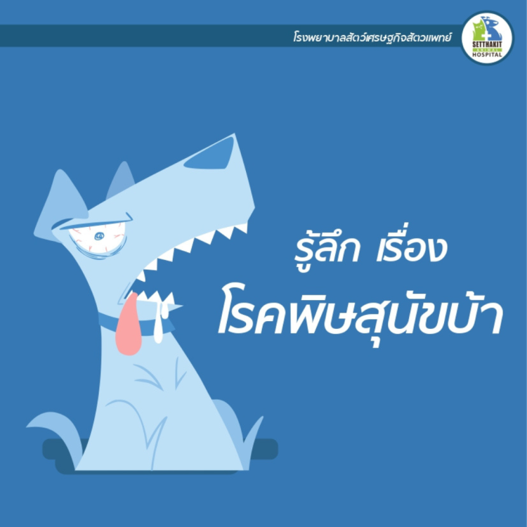 E-Book รู้ชัดกับเรื่องโรคเรื่องพิษสุนัขบ้า โดยโรงพยาบาลสัตว์เศรษฐกิจสัตวแพทย์