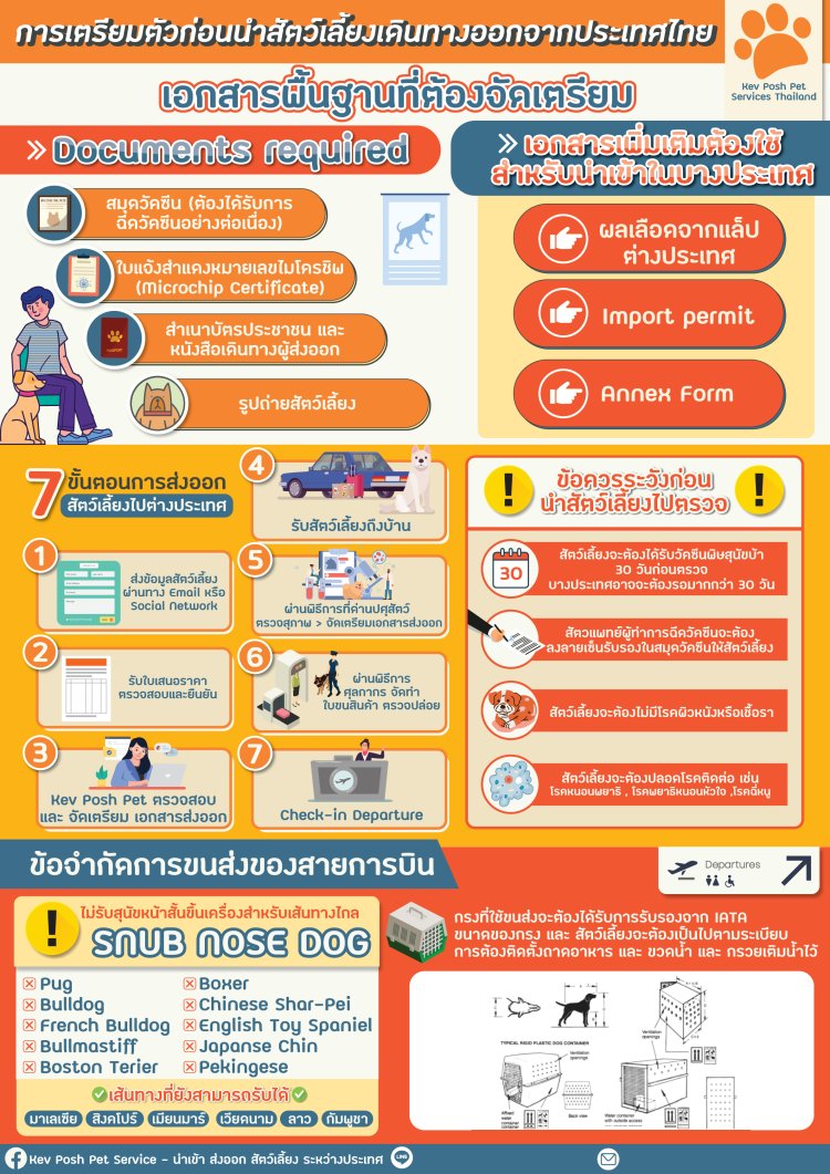 ตรวจสุขภาพสัตว์เลี้ยงก่อนการเดินทางไปต่างประเทศ