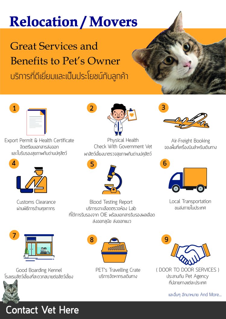 ตรวจสุขภาพสัตว์เลี้ยงก่อนการเดินทางไปต่างประเทศ