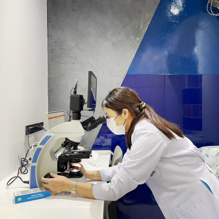 หมาขนร่วง