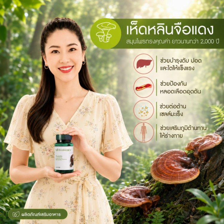อาหารเสริม เห็ดหลินจือแดง นู สกิน nu skin pharmanex reishi mx ริชิ เอ็มเอ็กซ์