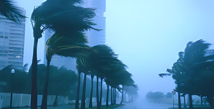 Windstorm and Debris Protection