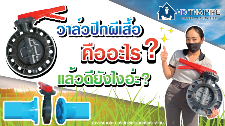 วาล์วปีกผีเสื้อPVCคืออะไร