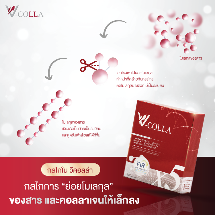 การย่อยโมเลกุล