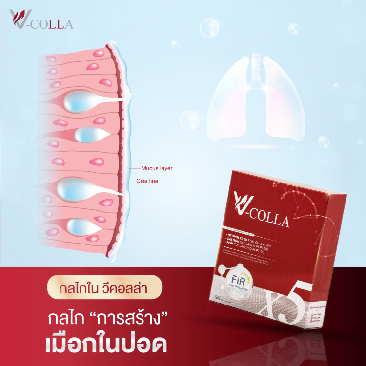 การสร้างเมือกในปอด