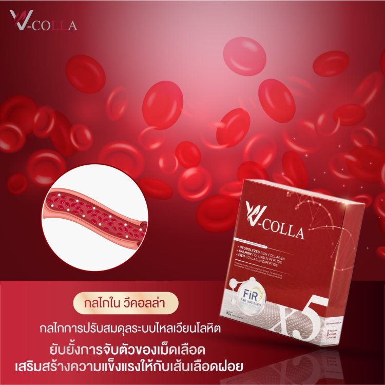 ปรับสมดุลระบบไหลเวียนเลือด