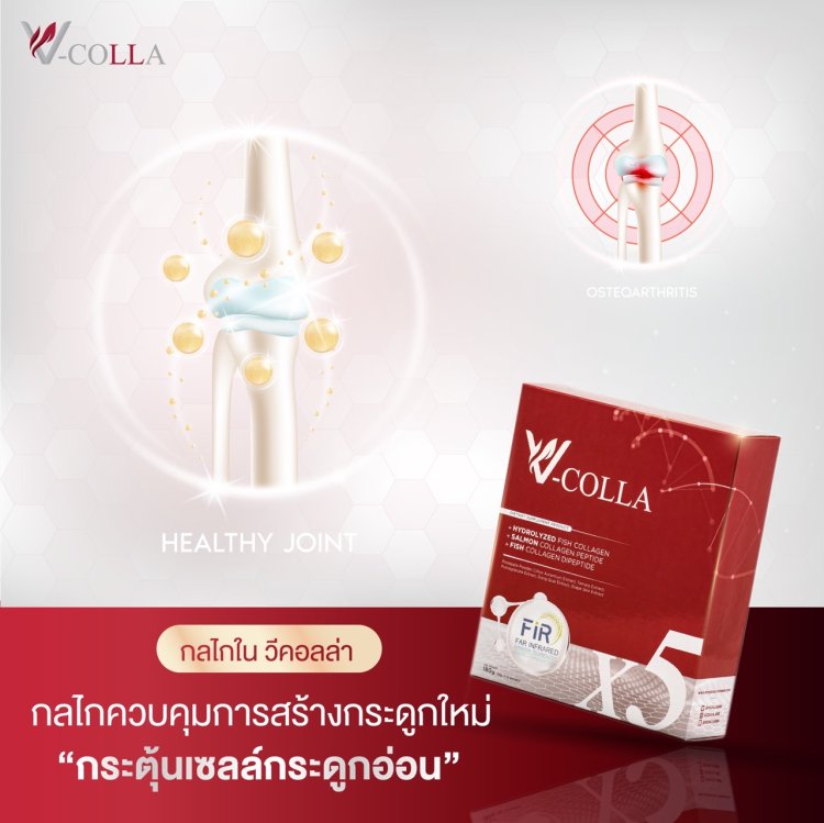 กระบวนการสร้างกระดูกอ่อน