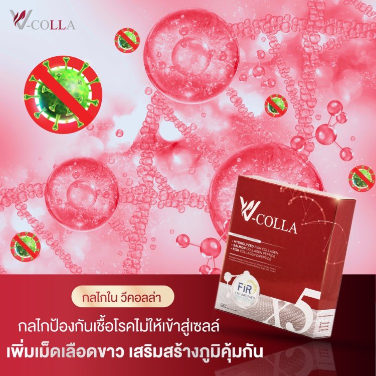 เพิ่มเม็ดเลือดขาว เสริมภูมิคุ้มกัน