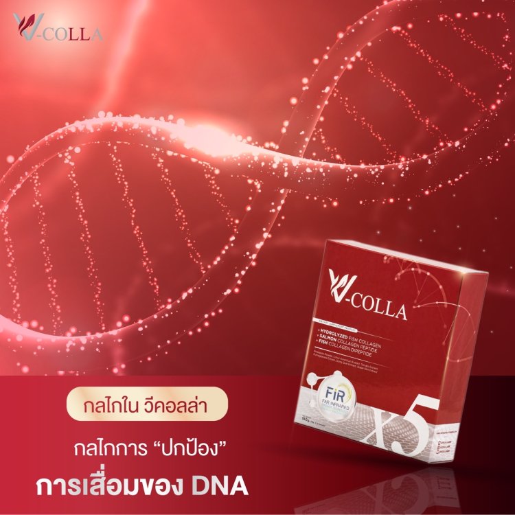 ปกป้องการเสื่อมของ DNA