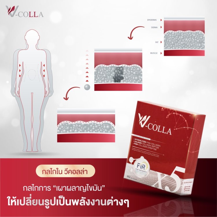 เผาผลาญไขมัน เปลี่ยนรูปเป็นพลังงาน