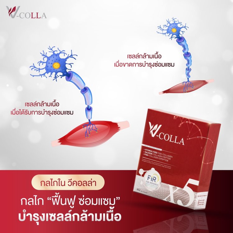 บำรุงเซลล์กล้ามเนื้อ