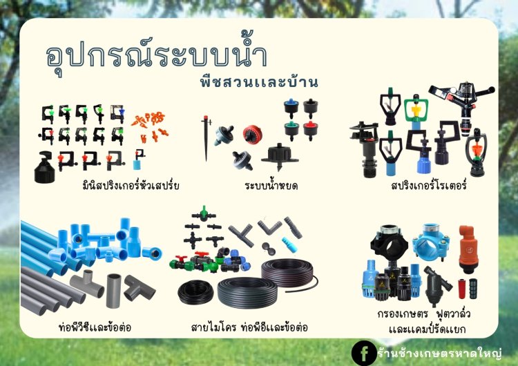 สปริงเกอร์
