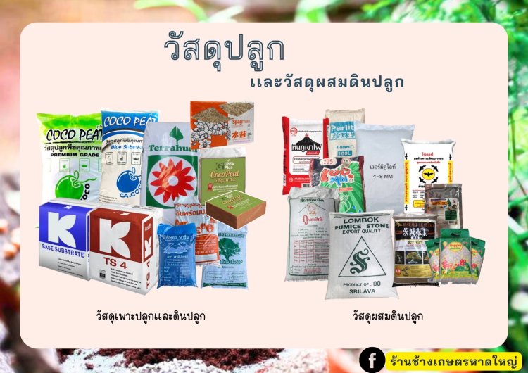 วัสดุปลูก