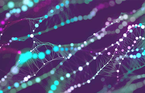 Long Read Sequencing