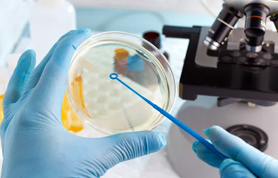 Metagenome Sequencing