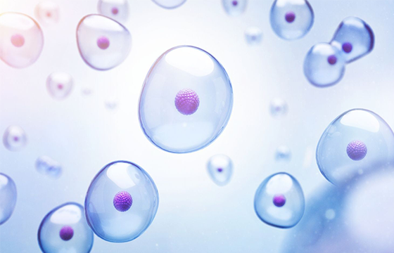 Single Cell Sequencing