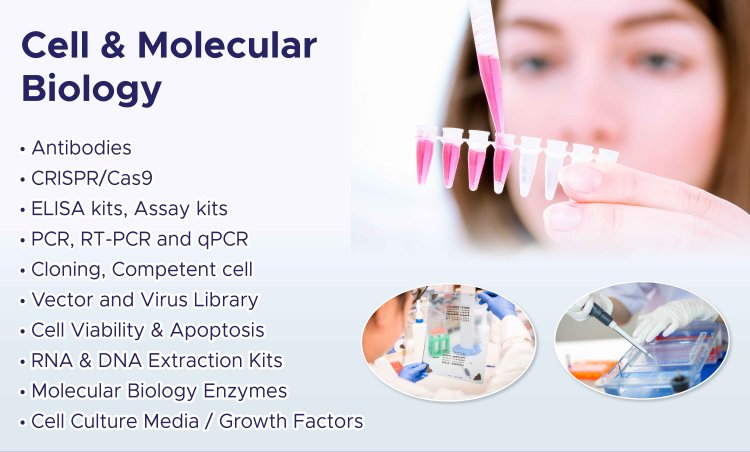 Cell & Molecular Biology